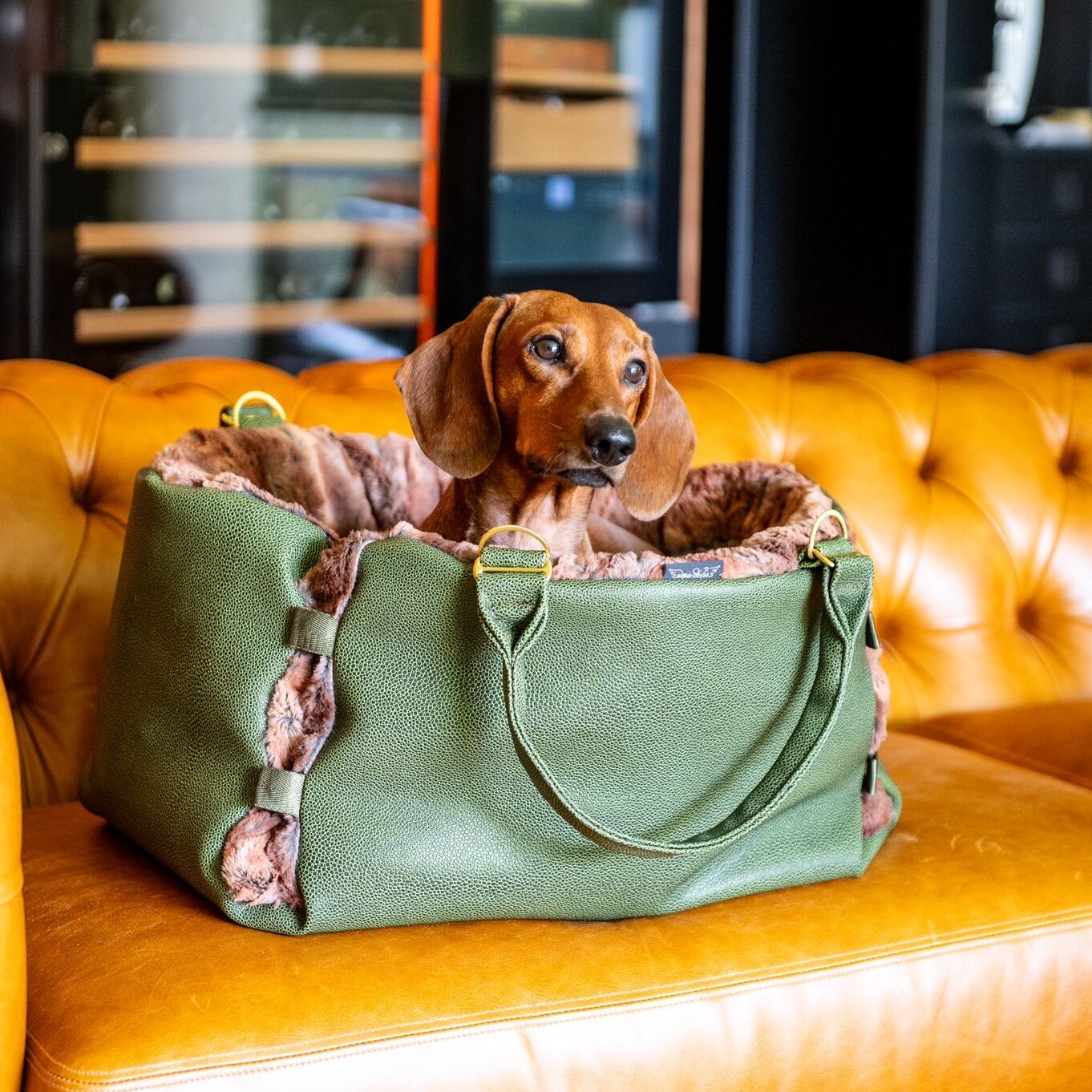 Hunde Reisebett - Home To Stay – Bild 8