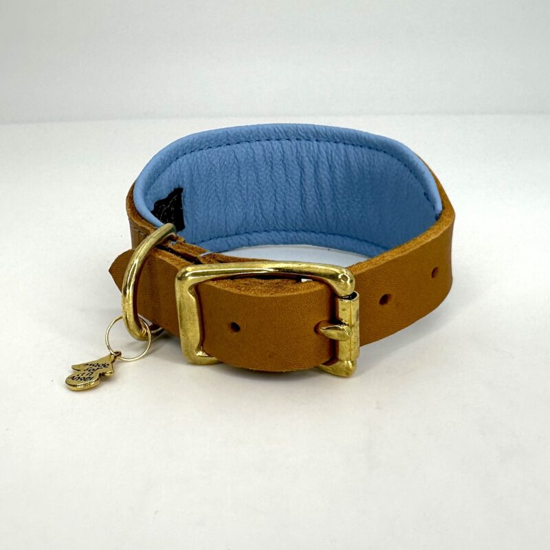 Fettlederhalsband Pure & Pure Premium – Bild 3